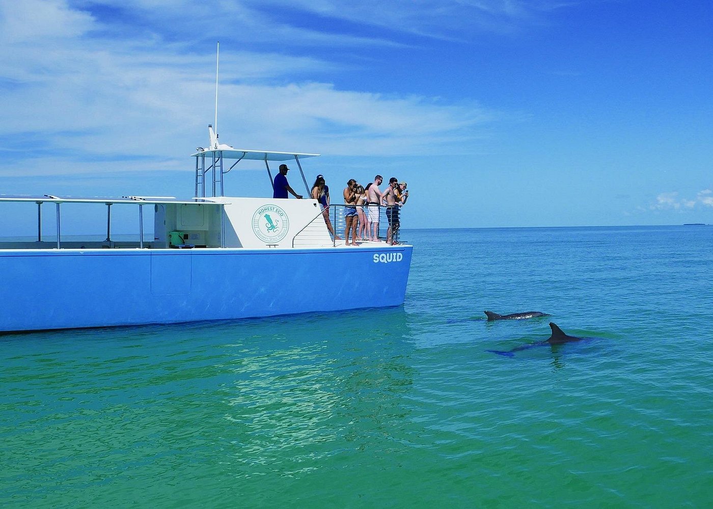 Biologist Owned & Operated: Dolphin Watching & Guided Snorkeling